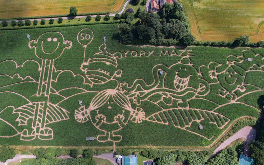 “A Mr. Men 官网幸运五分钟体彩 LITTLE MISS giant maze at the York Maze”